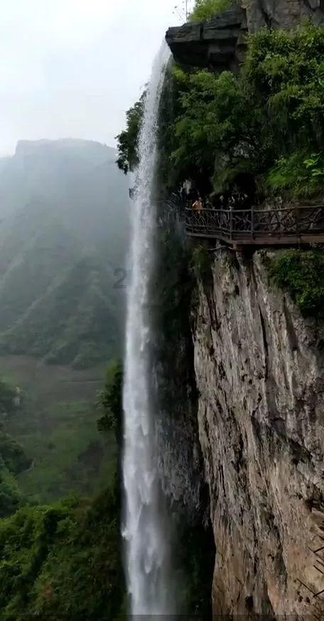 逃离整洁的杂物间